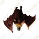 Cache "Bestiole" - Chauve-souris medium