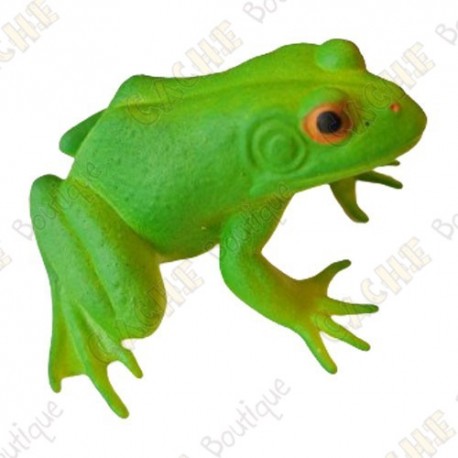 Cache "insect" - Green frog