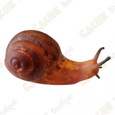 Cache "insect" - Snail