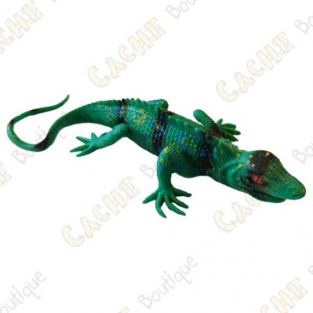 Cache "Insecto" - Lagarto