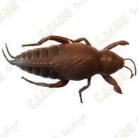 Cache "Insecto" - Cucaracha